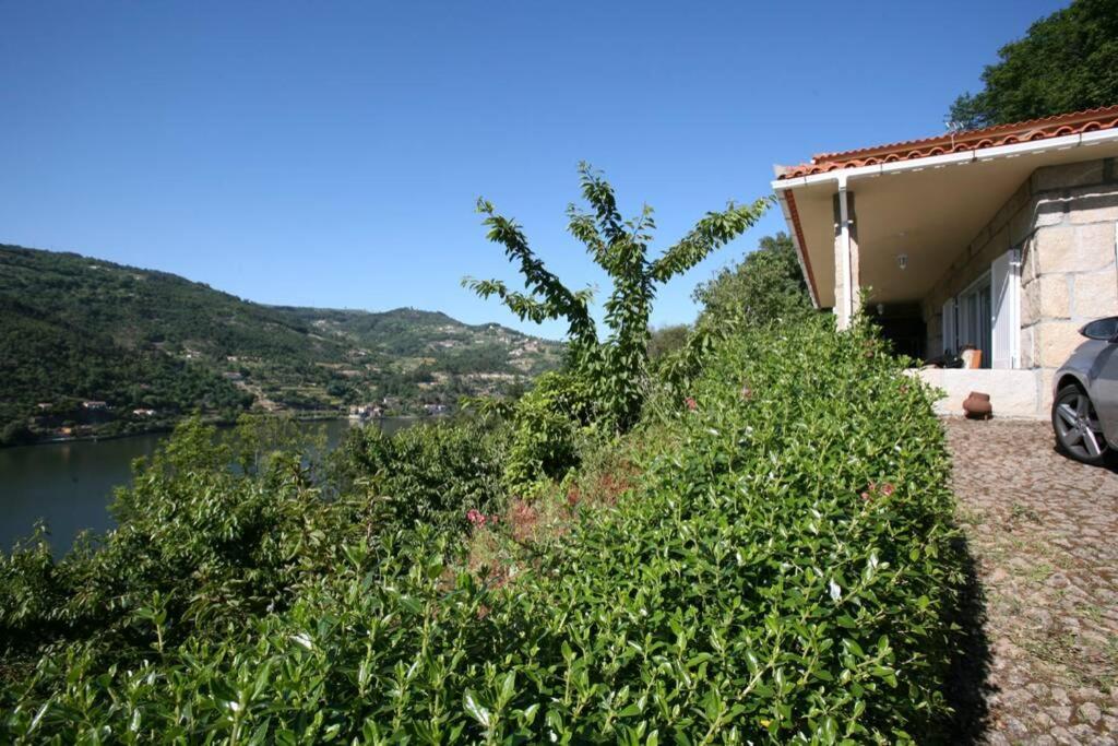 Douro Valley - Casa Do Campo Resende Covelas  Kültér fotó